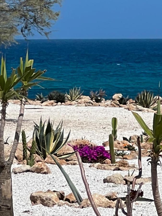 Masseria Ostuni Mare Agri Resort מראה חיצוני תמונה